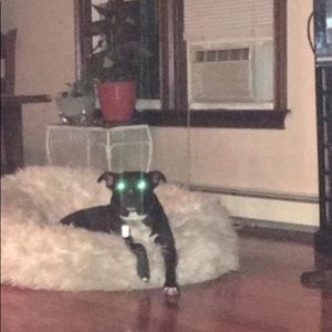 Meet your Posher, Christos